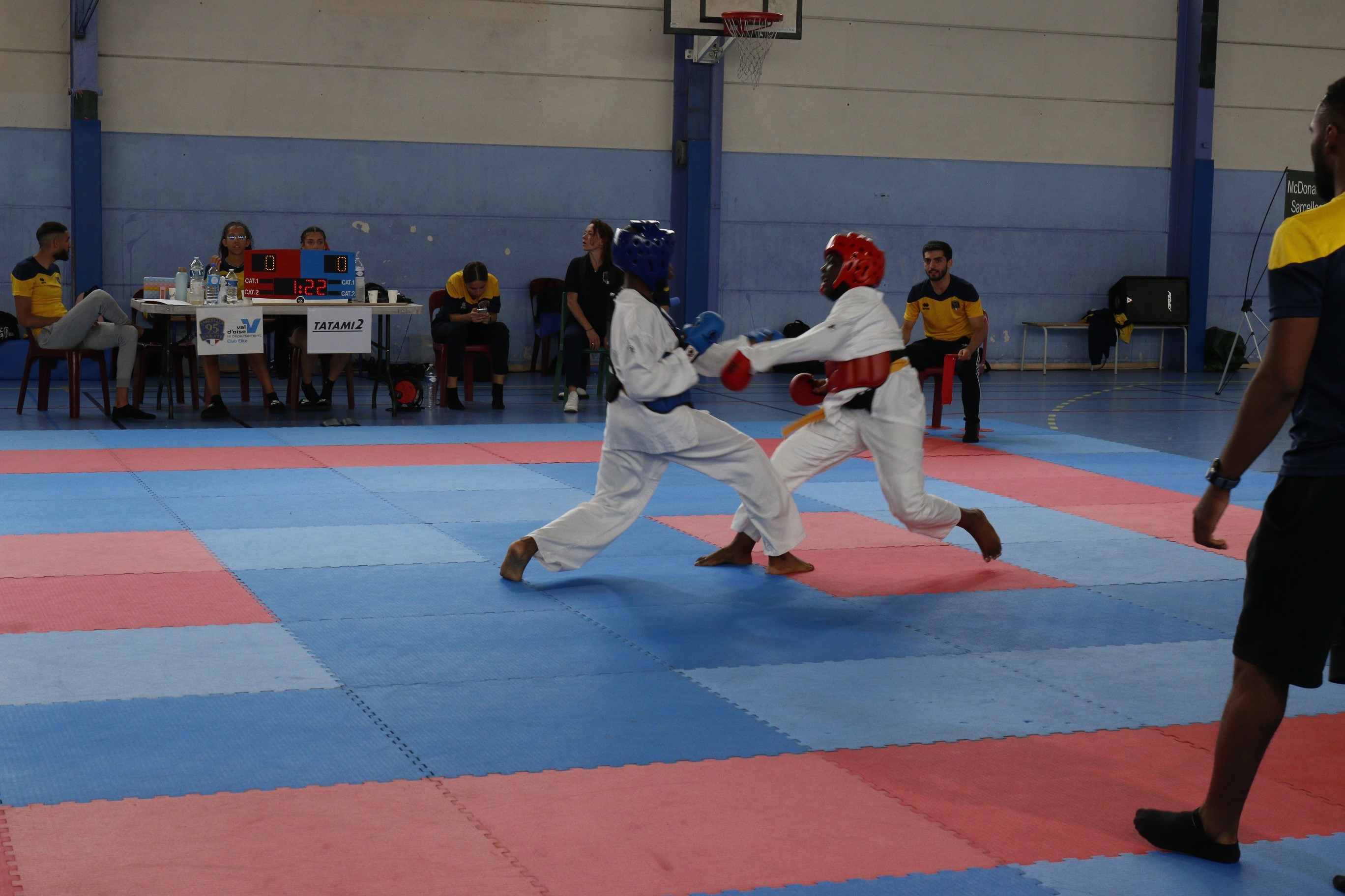 Coupeallandavidbriandn1109