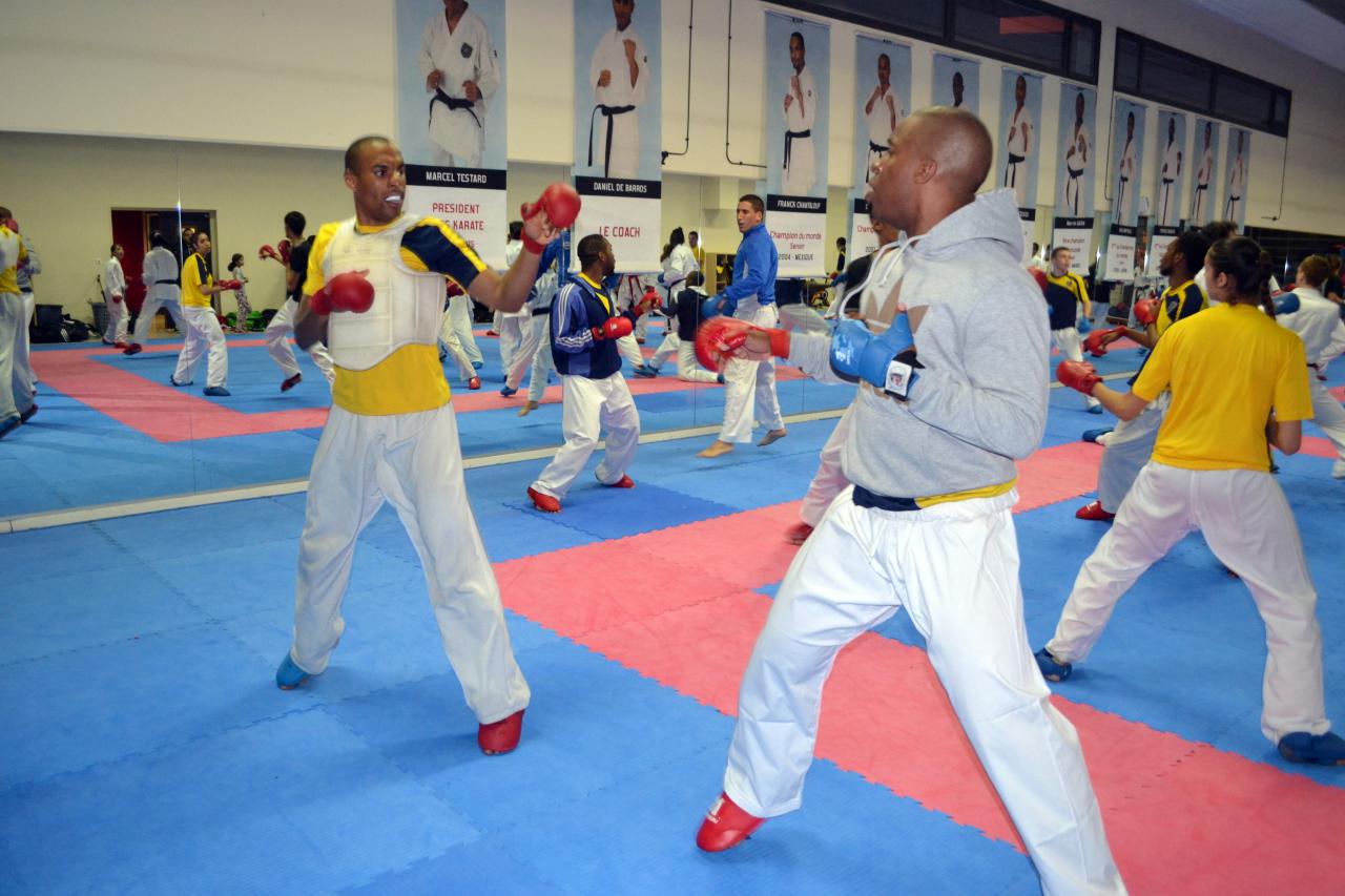 Entrainement avec le Dojo Lantonnais