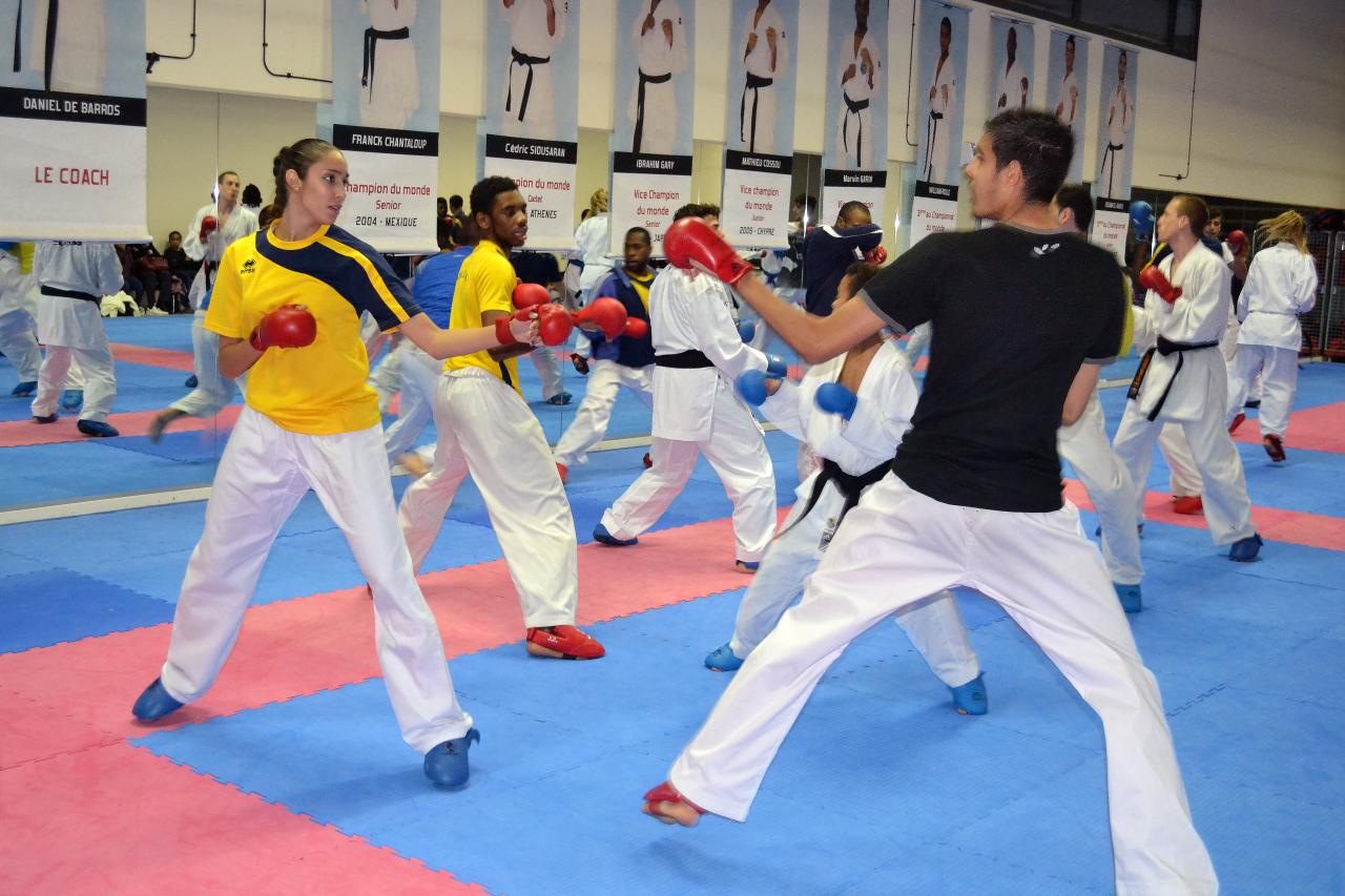 Entrainement avec le Dojo Lantonnais