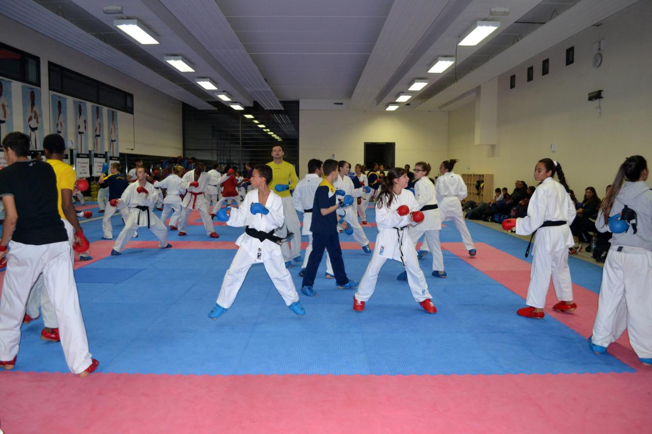Entrainement avec le Dojo Lantonnais