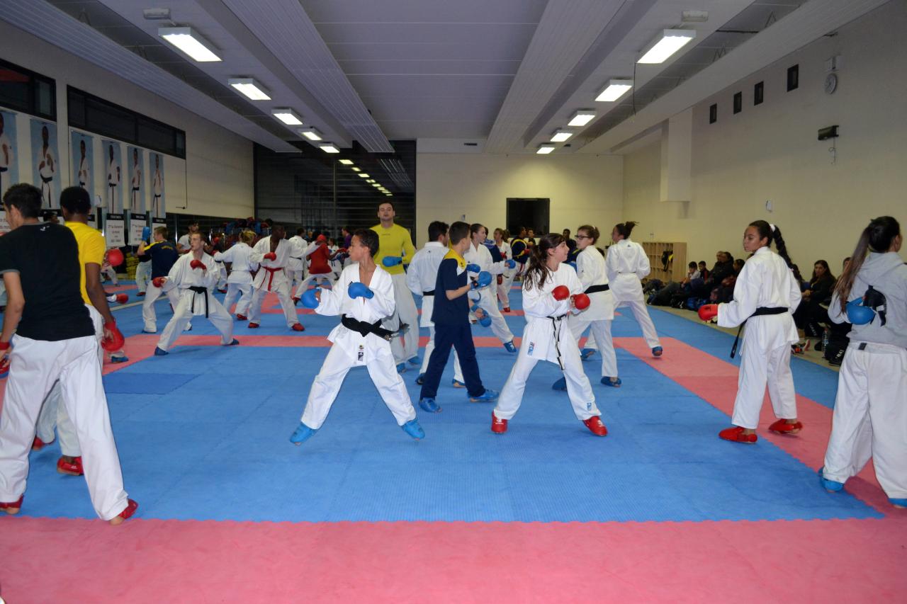 Entrainement avec le Dojo Lantonnais