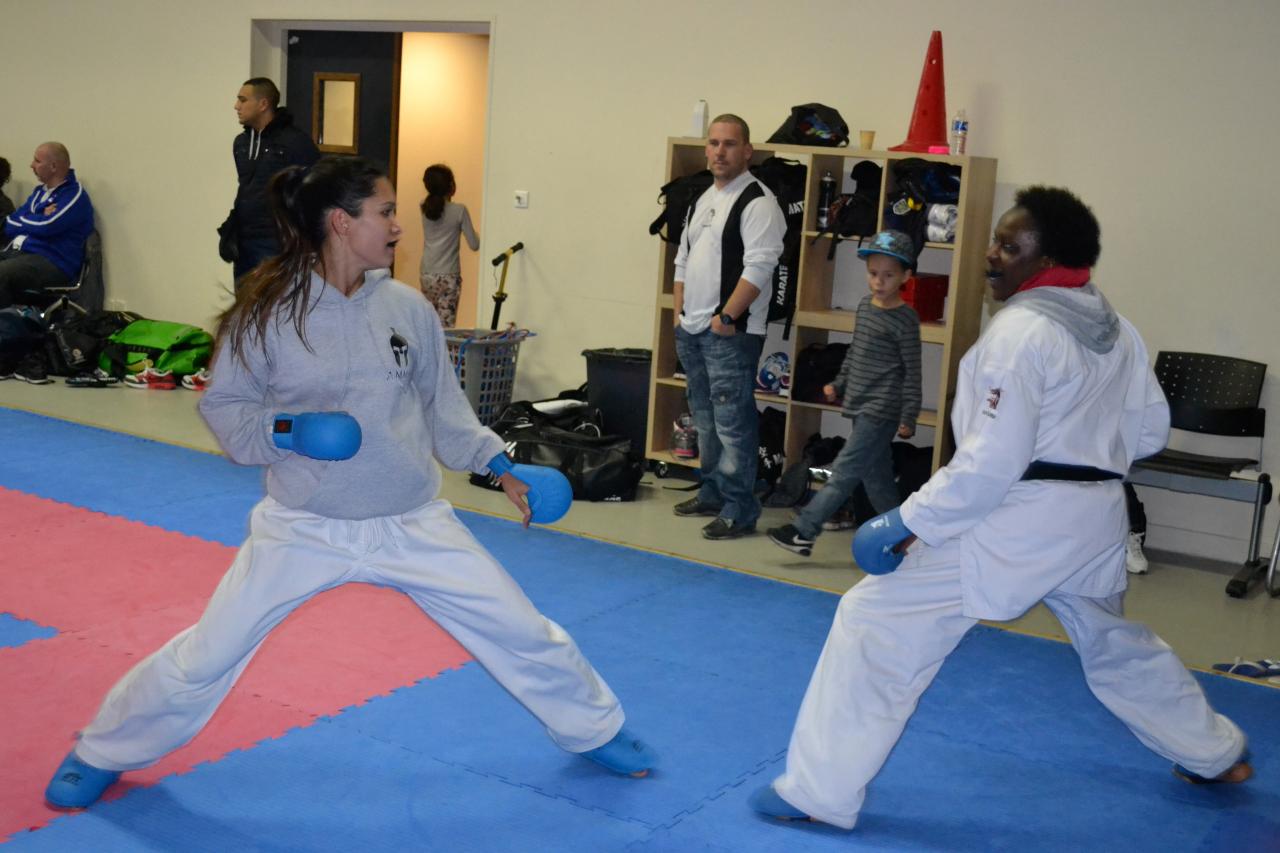 Entrainement avec le Dojo Lantonnais