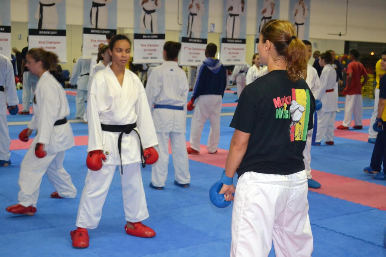 Entrainement avec le Dojo Lantonnais