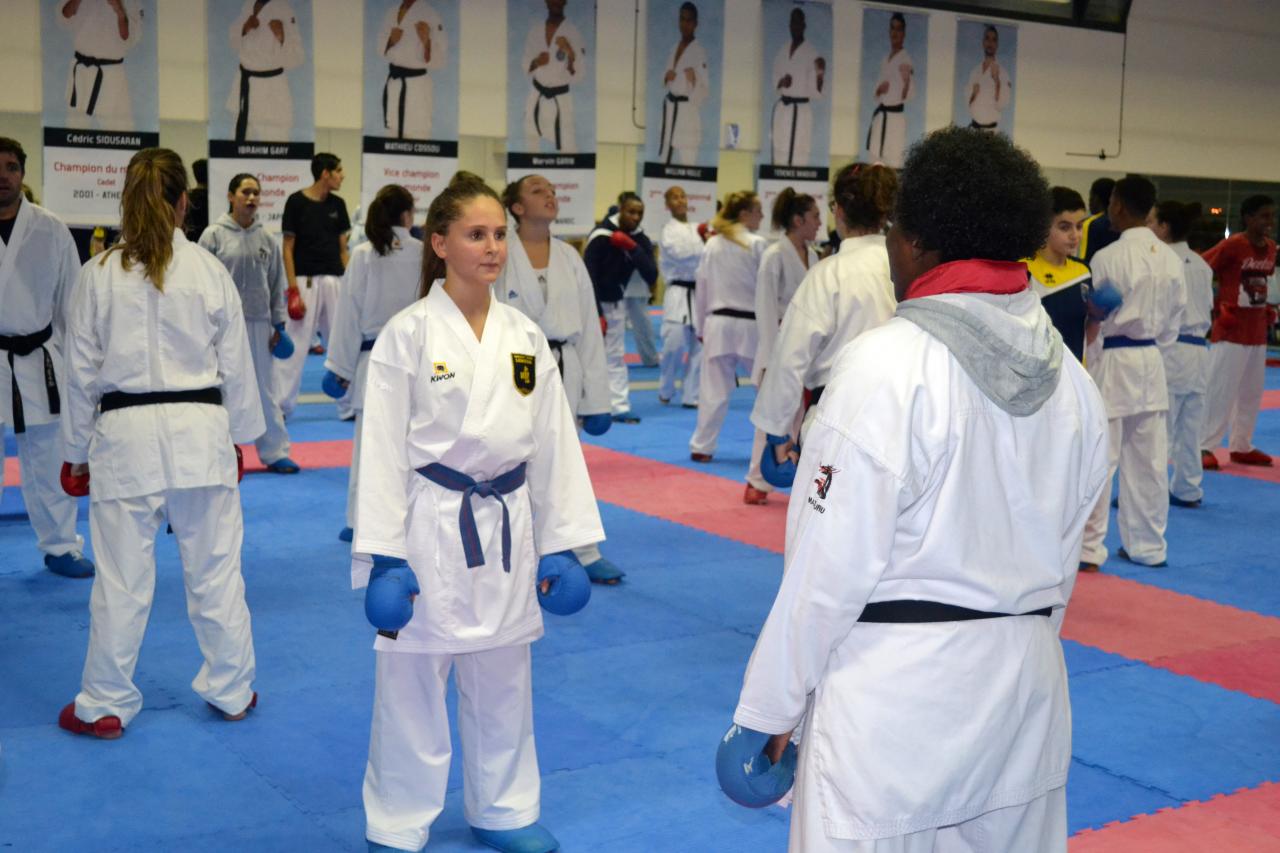 Entrainement avec le Dojo Lantonnais