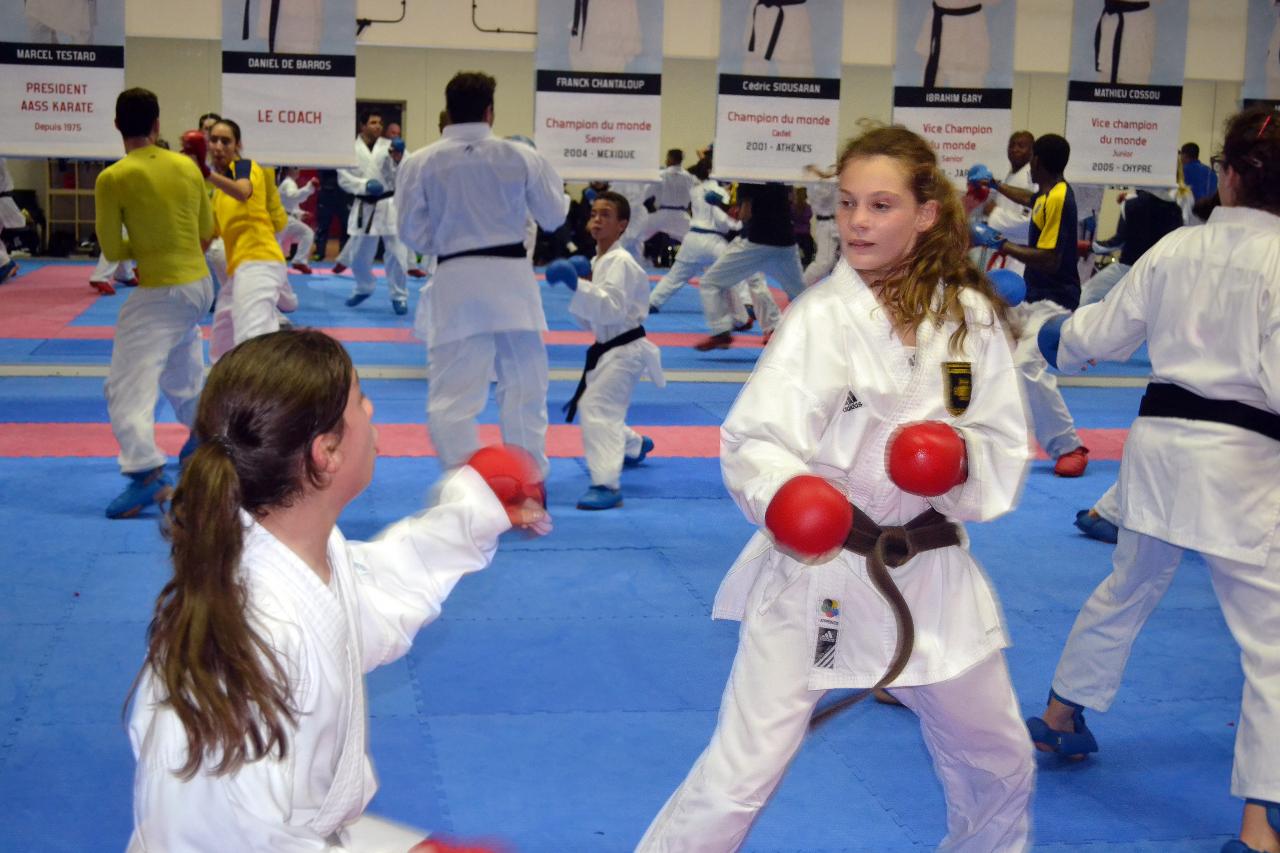 Entrainement avec le Dojo Lantonnais