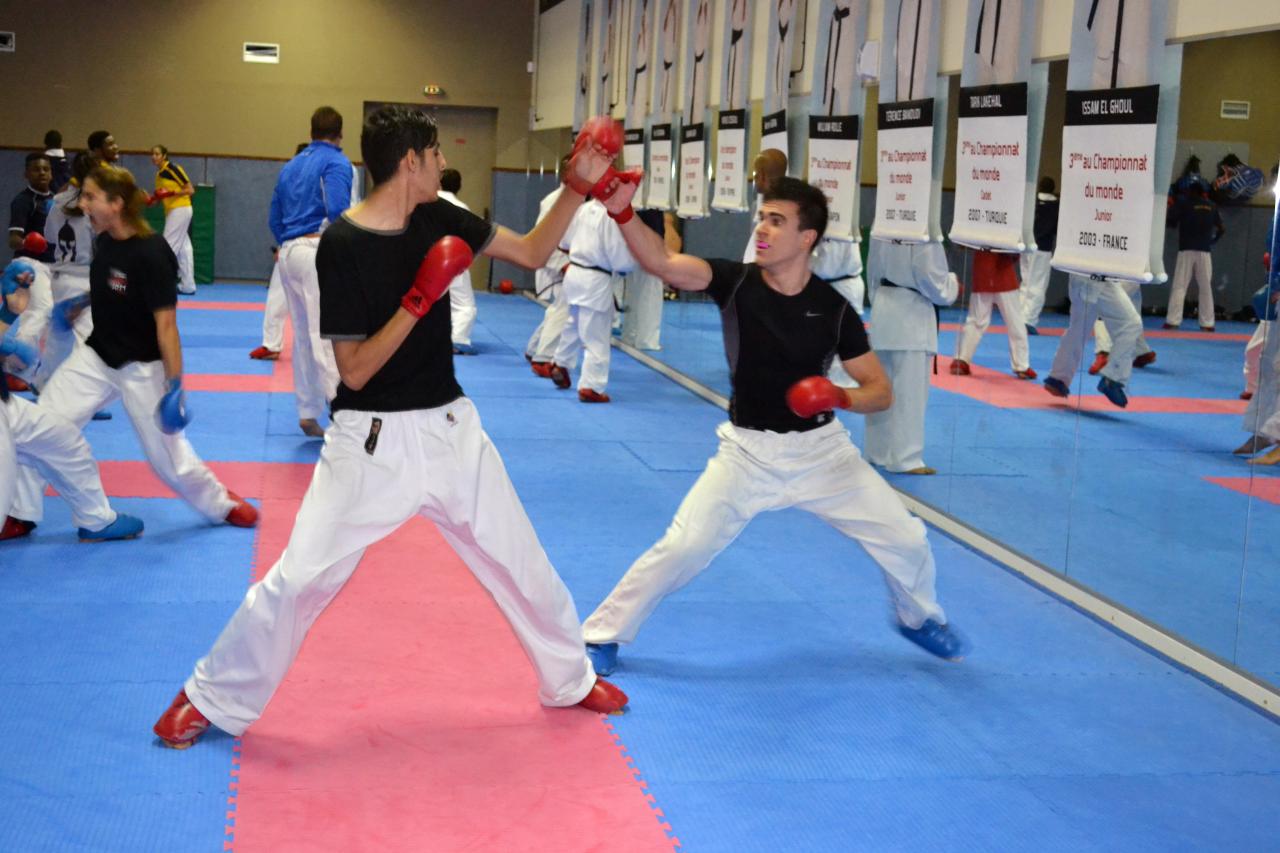 Entrainement avec le Dojo Lantonnais