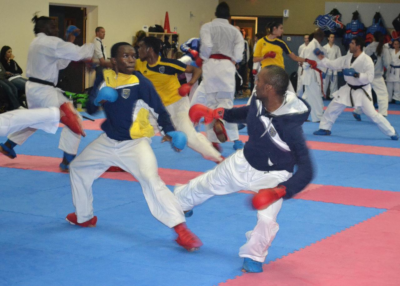 Entrainement avec le Dojo Lantonnais