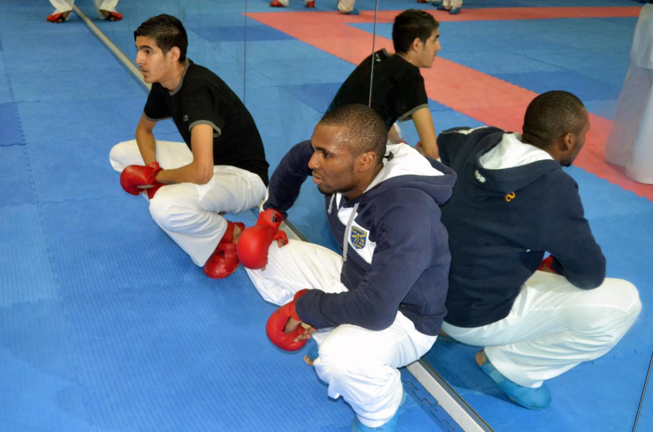 Entrainement avec le Dojo Lantonnais