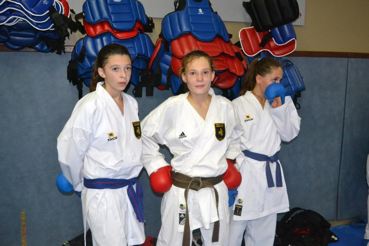 Entrainement avec le Dojo Lantonnais