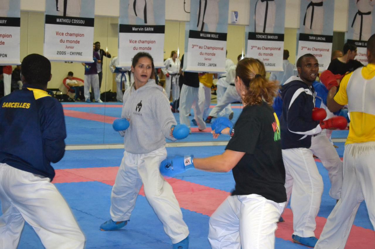 Entrainement avec le Dojo Lantonnais