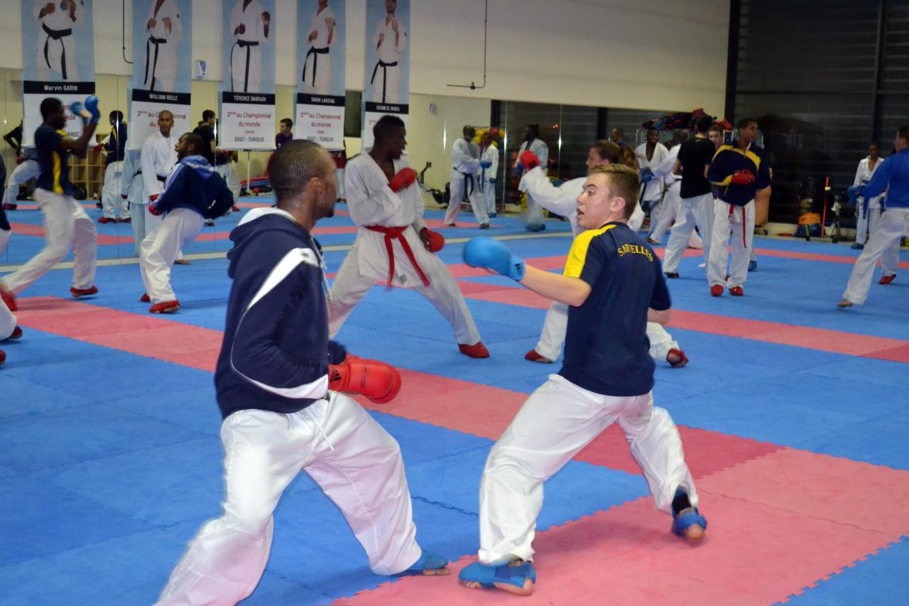 Entrainement avec le Dojo Lantonnais