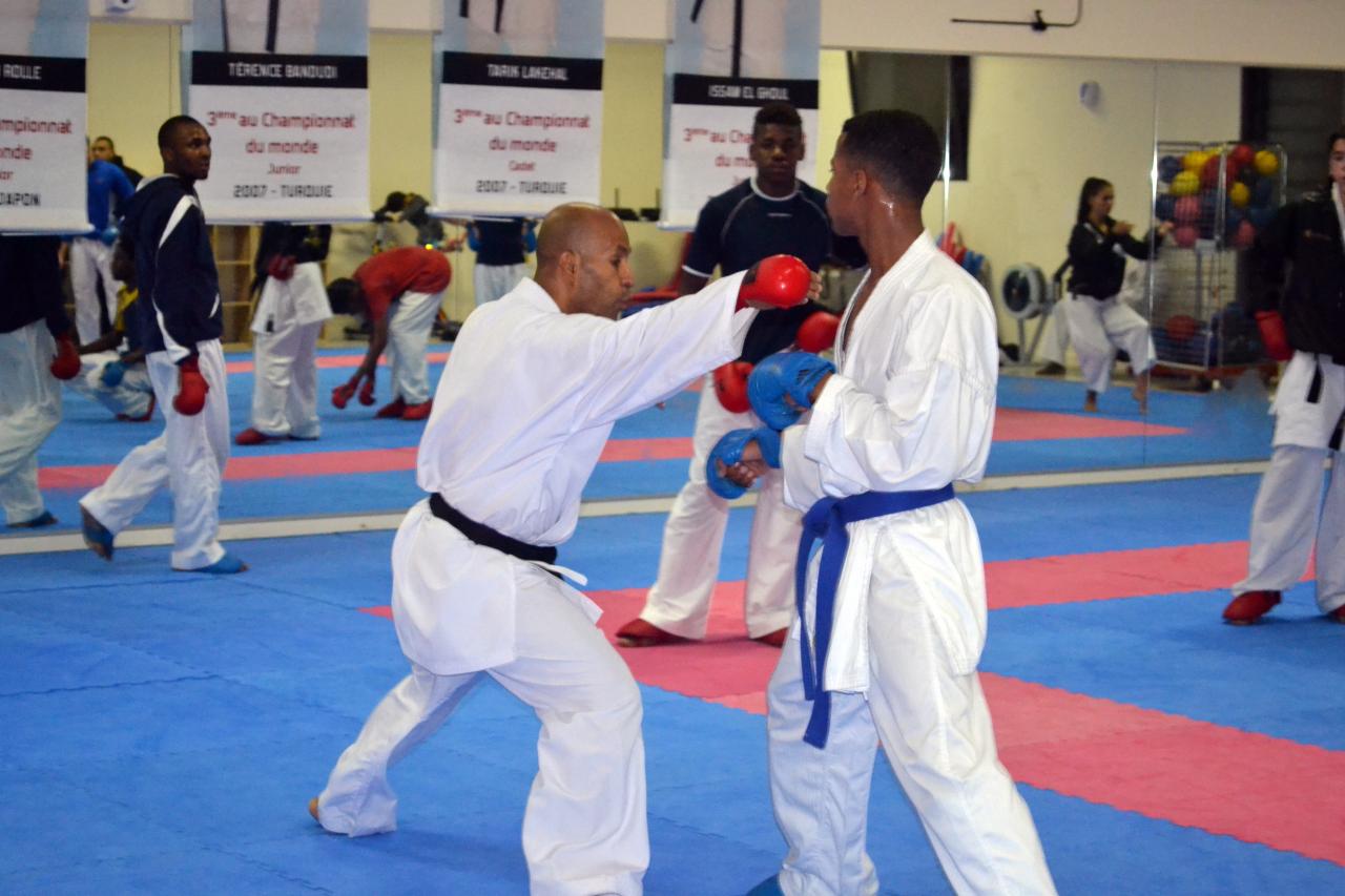 Entrainement avec le Dojo Lantonnais