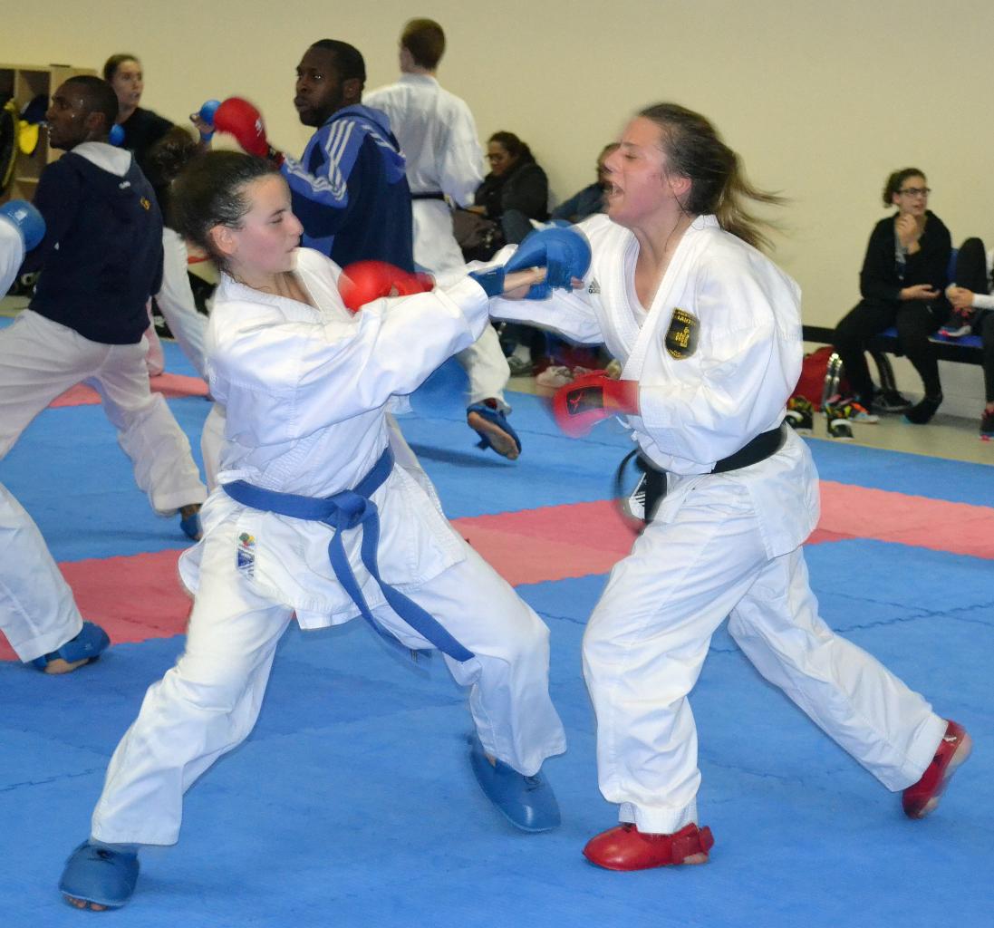 Entrainement avec le Dojo Lantonnais