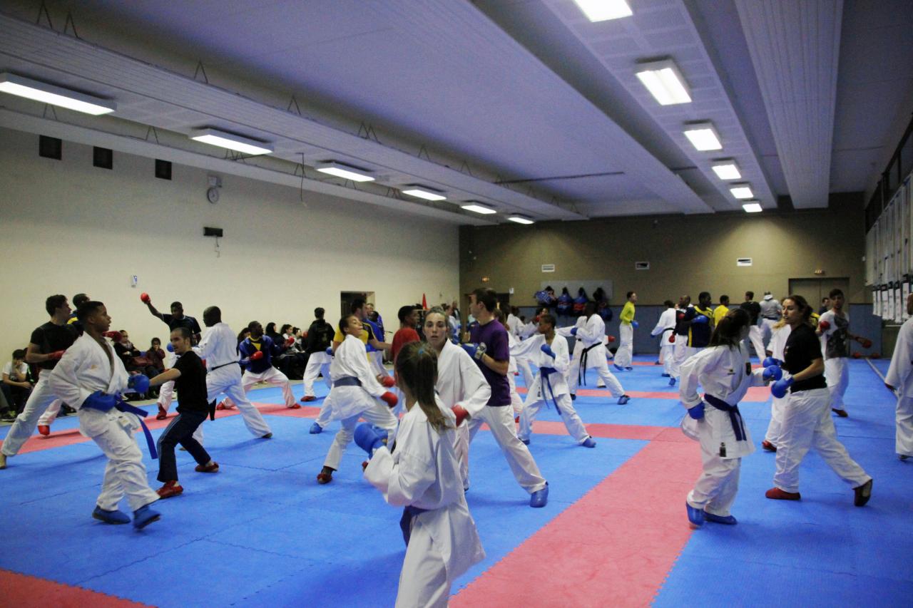 Entrainement avec le Dojo Lantonnais