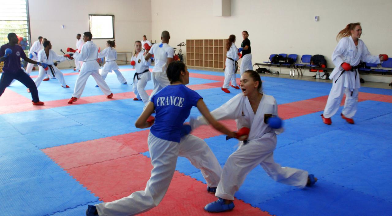 Entrainement avec le Dojo Lantonnais