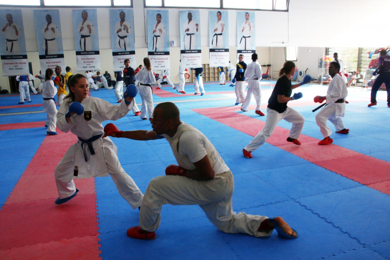 Entrainement avec le Dojo Lantonnais