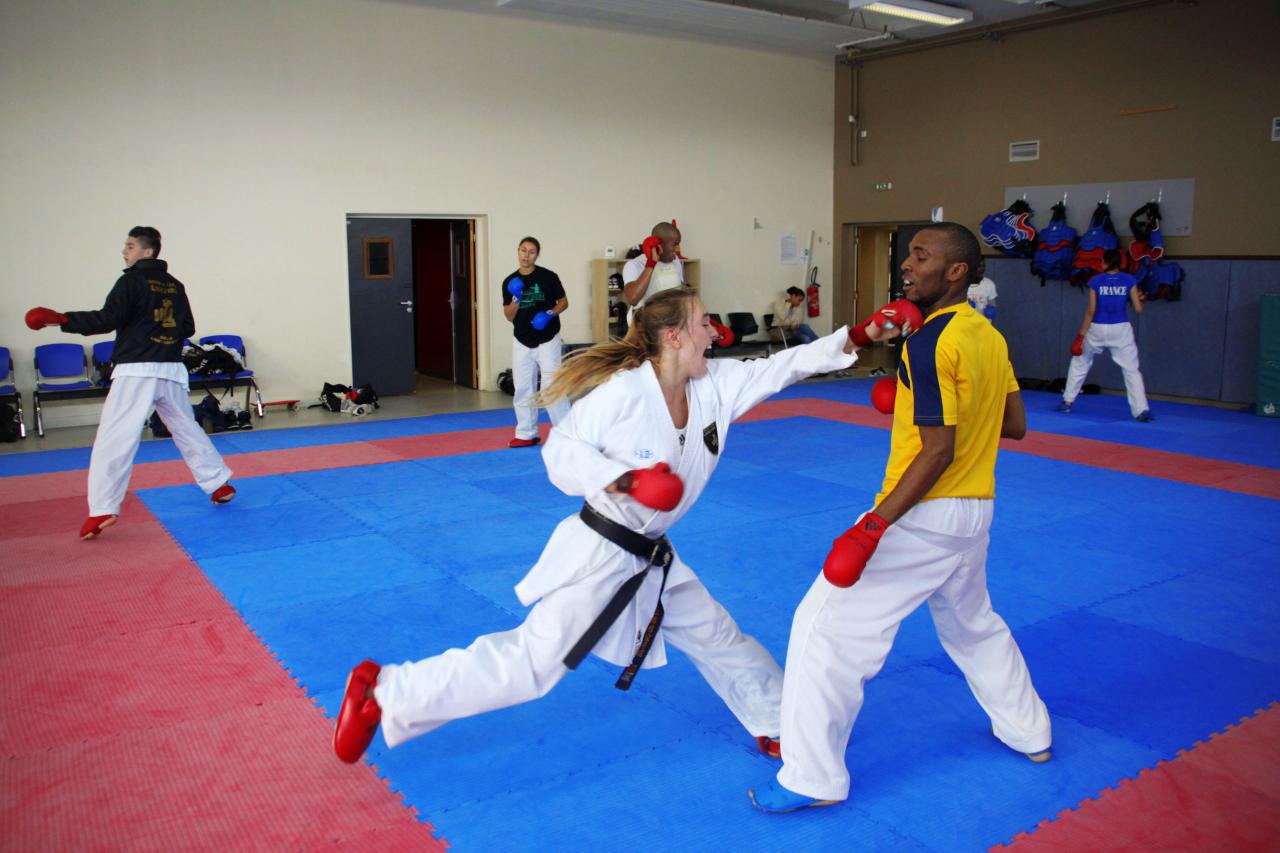 Entrainement avec le Dojo Lantonnais