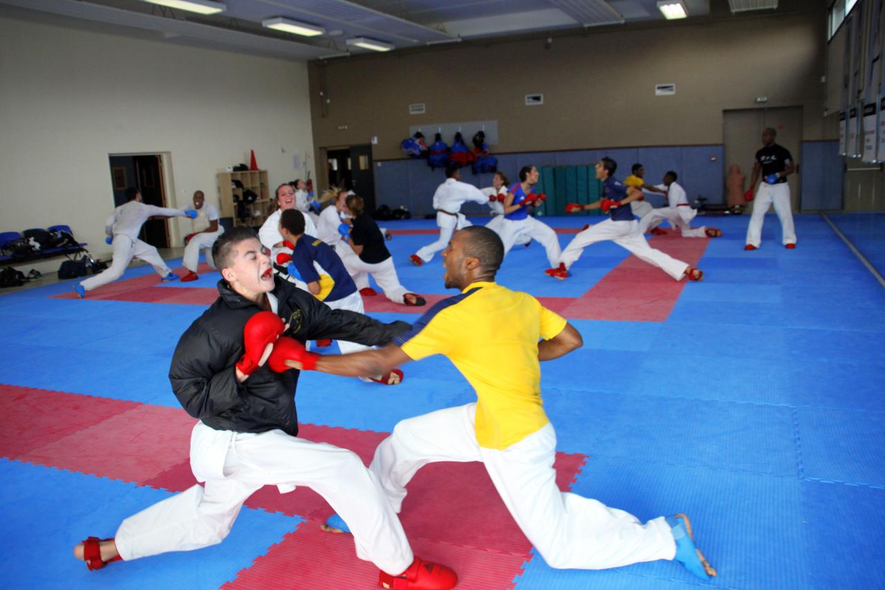 Entrainement avec le Dojo Lantonnais