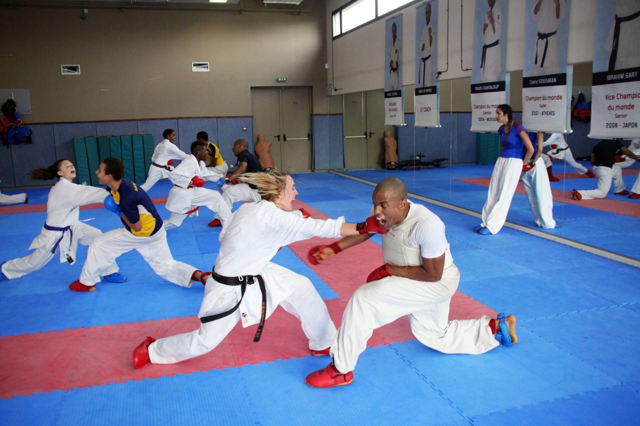 Entrainement avec le Dojo Lantonnais