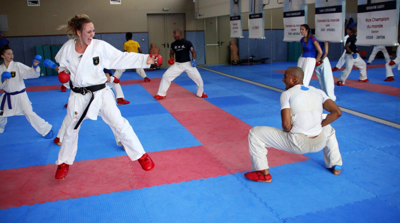 Entrainement avec le Dojo Lantonnais