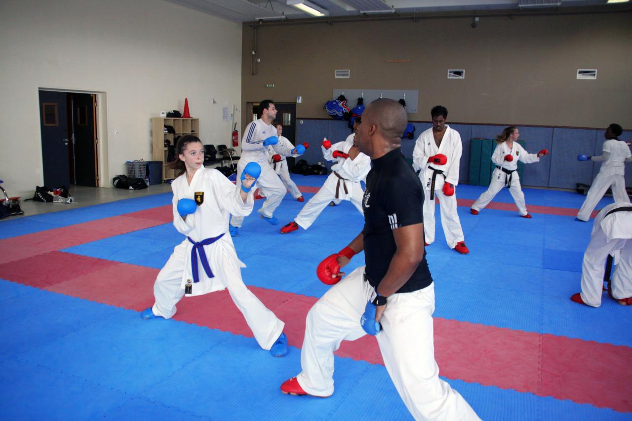 Entrainement avec le Dojo Lantonnais