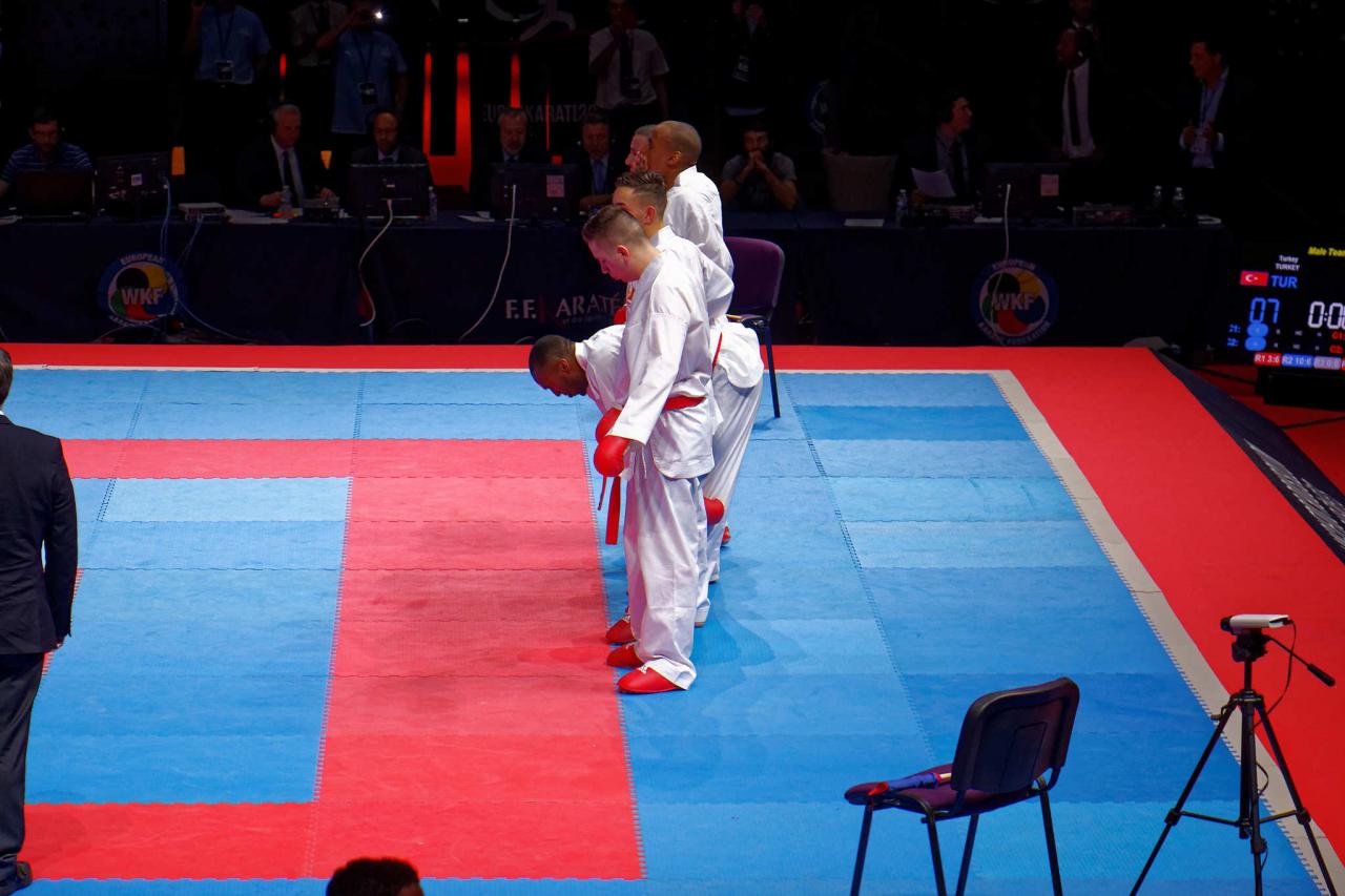 montpellier 2016 (379)