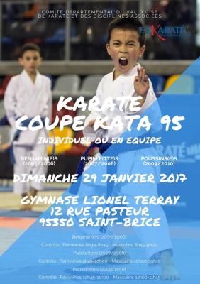 Coupe kata 95 poussins pupilles benjamins ind et e quipes